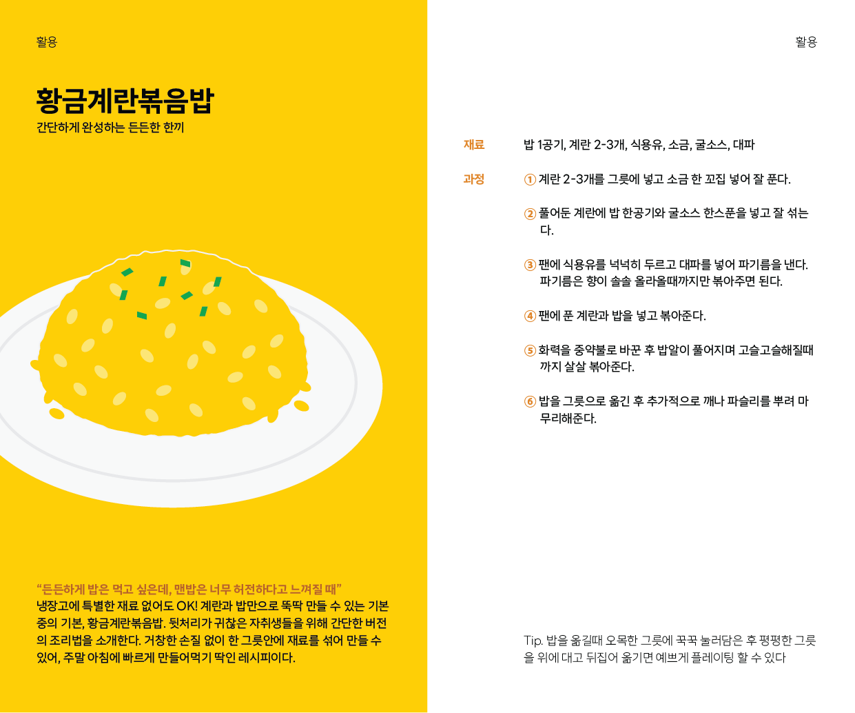 Illustration 1 - 큰고양이